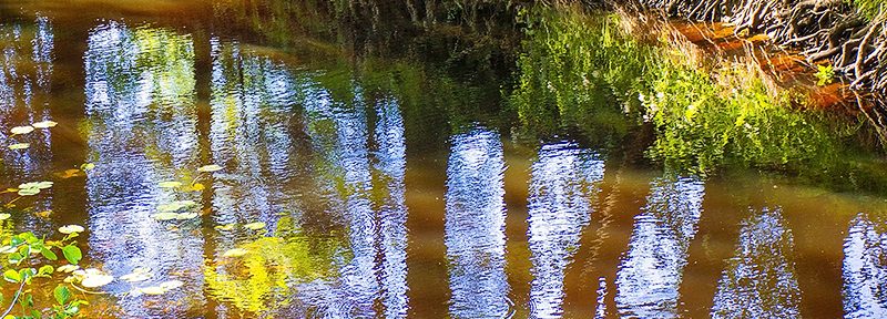 Mūsų geroji Magdutė